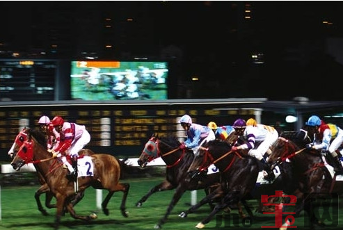 赌马.png