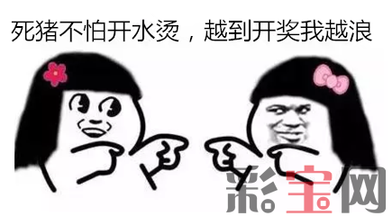 死猪不怕开水烫越到开奖我越浪_副本.png